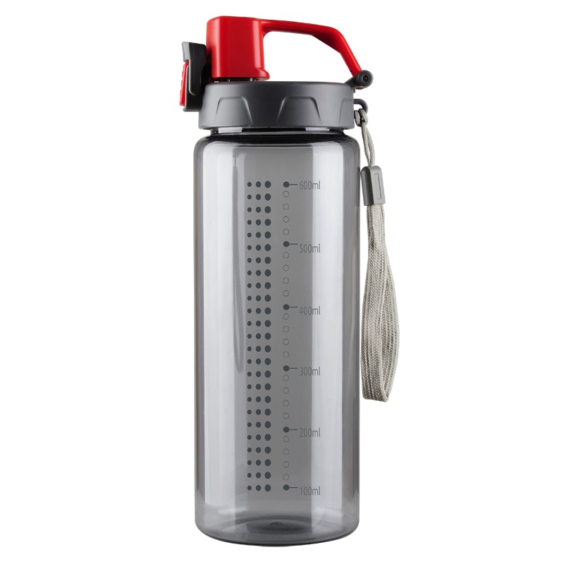 600 ml Feelsogood water bottle, red/grey photo